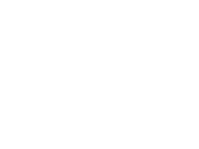 Veritiv Logo